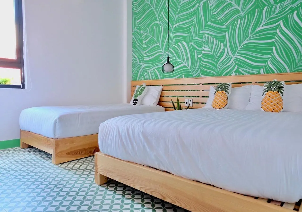 Apartment Uri House, 1- 2 Bedroom Tourism Apt, 5' Walk Dragon Bridge Da Nang